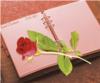 For Women 